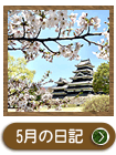 ２０２４年　５月の院長日記を見る