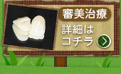 審美歯科を見る