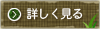 虫歯を詳しく見る