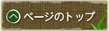 ページのＴＯＰへ