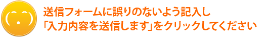 送信フォームに誤りのないよう入力してください